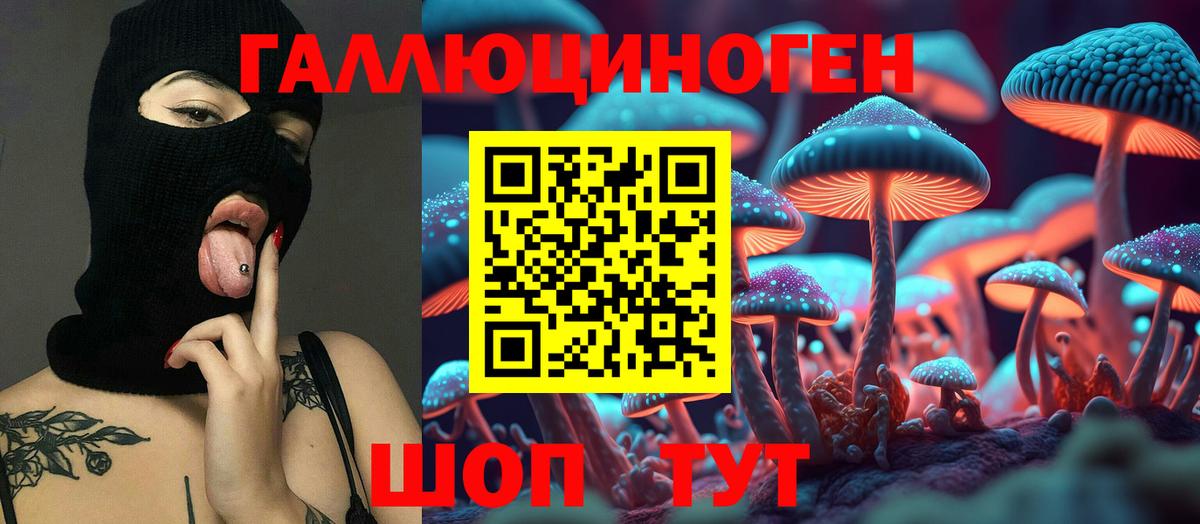 Псилоцибиновые грибы Psilocybe Норильск