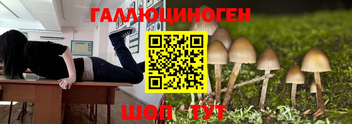 Норильск  Псилоцибиновые грибы Psilocybine cubensis  Вход с VPN  Галлюциногенные грибы GOLDEN TEACHER 