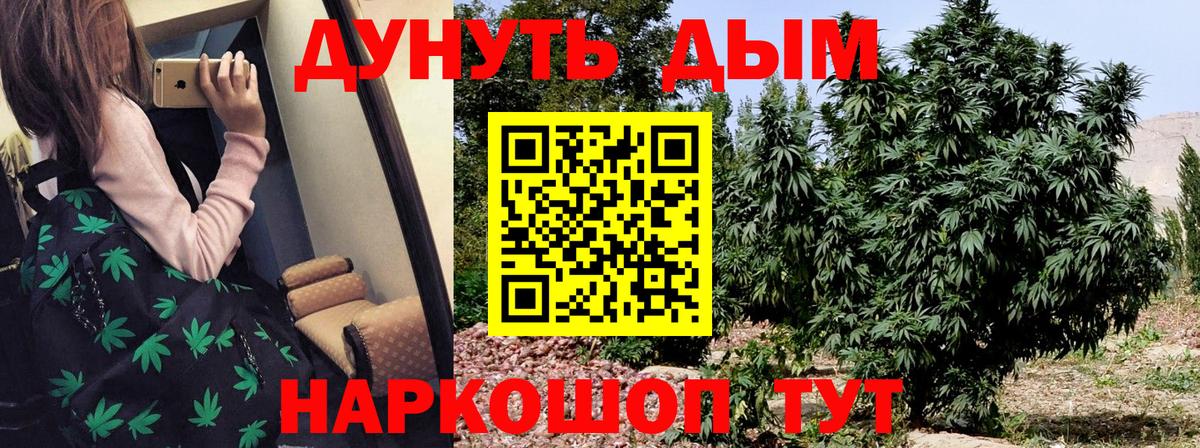 Каннабис White Widow  Канабис тримм  Норильск  Марихуана гибрид  Вход с VPN 